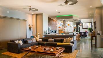 TV, fireplace, DVD player, ping pong