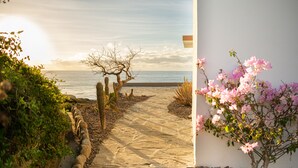 A pathway leading to a beach with a cactus and flowering plant on the right. - "Villa Rocas" Beachfront Luxury Villa (El Pescadero)