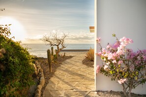 Property grounds - "Villa Rocas" Beachfront Luxury Villa (El Pescadero)
