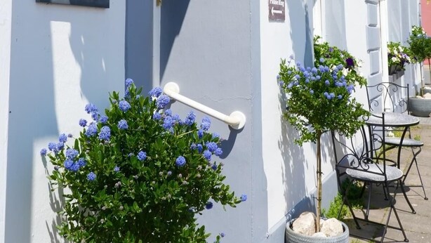 A building with a sign reading "AROSEA" and another sign indicating a bar. There are hanging baskets with plants and a small tree with blue flowers.