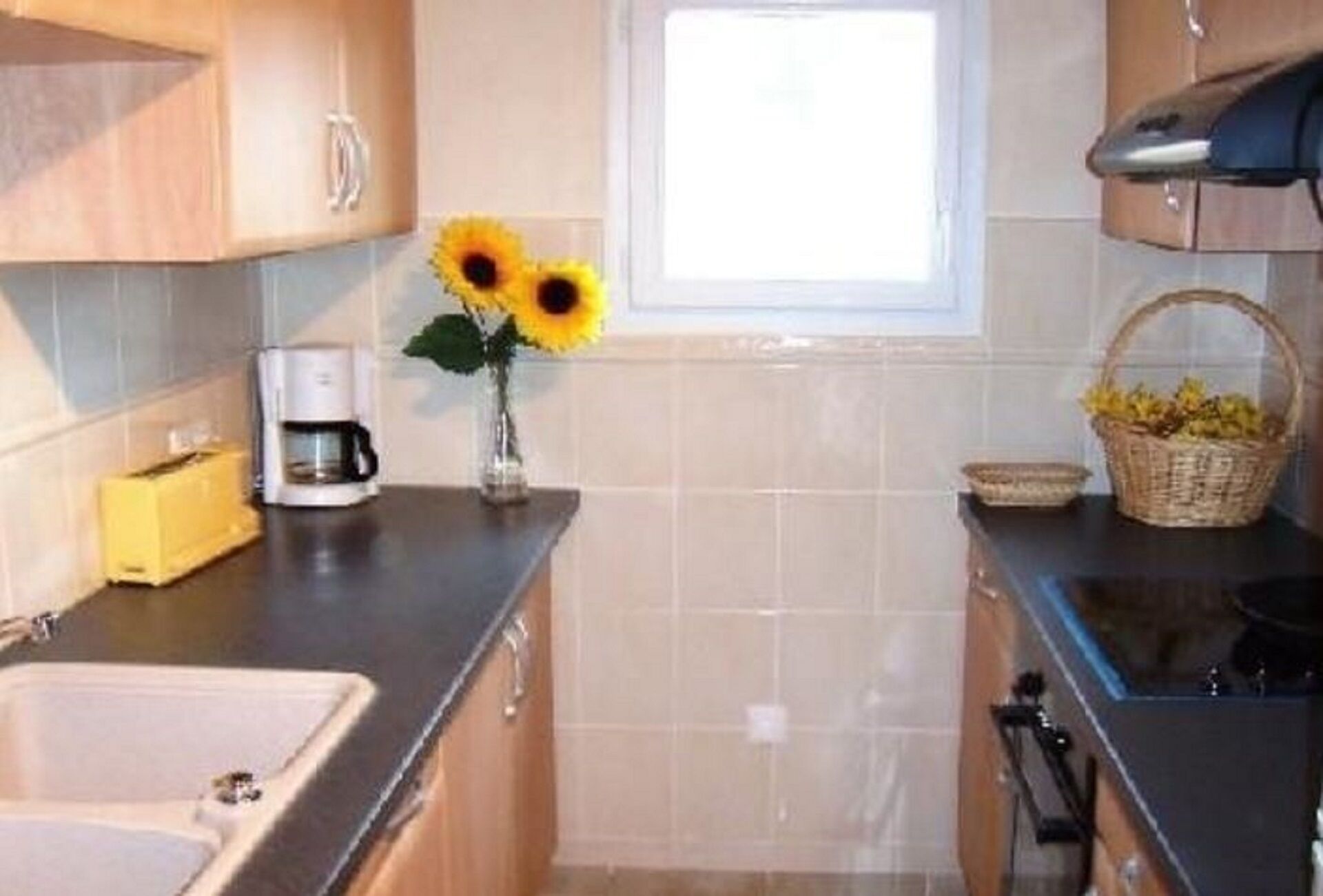 See Promotion 2019!  Lake Harrieta Domain: You vacation in the Basque Country.