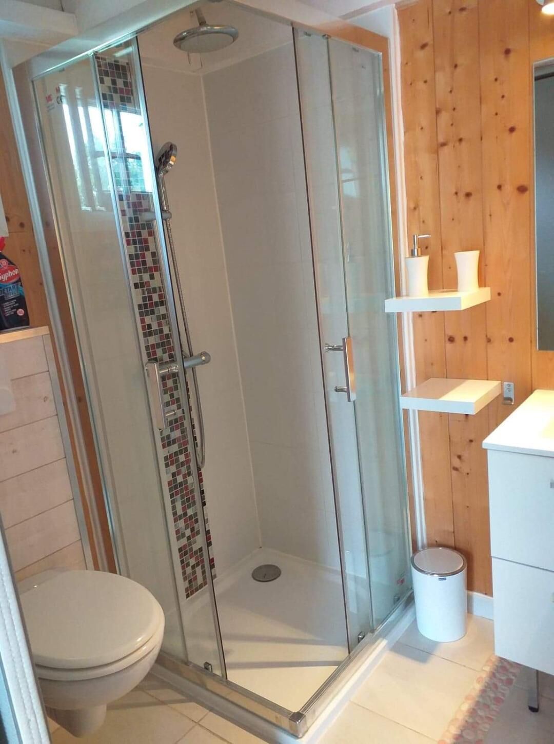 A glass-enclosed shower with a tiled wall, a toilet, and a small sink with a mirror.