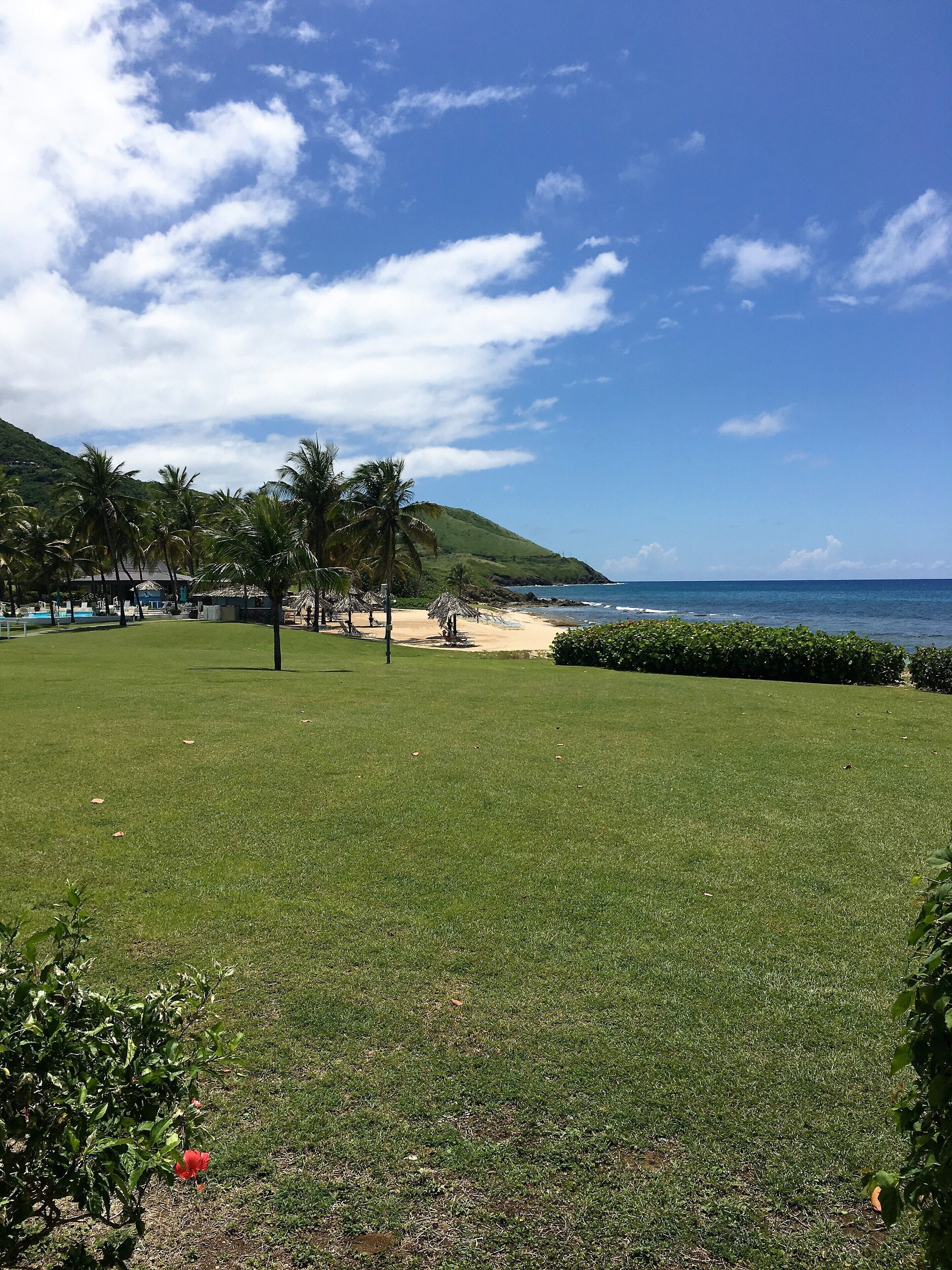 A grassy area with a beach and ocean view, palm trees, and a hilly landscape.