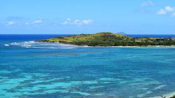 Un paysage côtier caractérisé par une eau turquoise et limpide, une plage de sable et une colline verdoyante couverte de végétation.