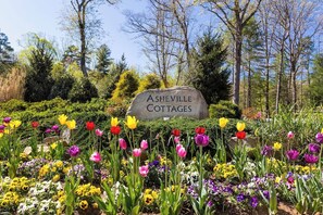 Property grounds - Chestnut Cottage • Romantic Hot Tub Stay (Asheville)