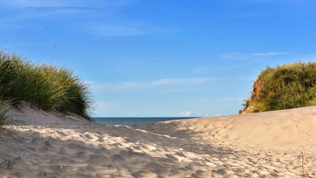 A sandy beach with dunes and sparse vegetation. - Le Clos des Flots, The Fleet - House "L'Océan" - 2 bedrooms, private patio (La Flotte)