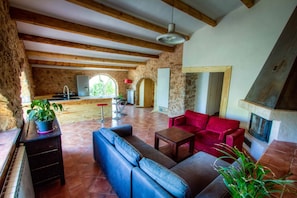 TV, fireplace, DVD player