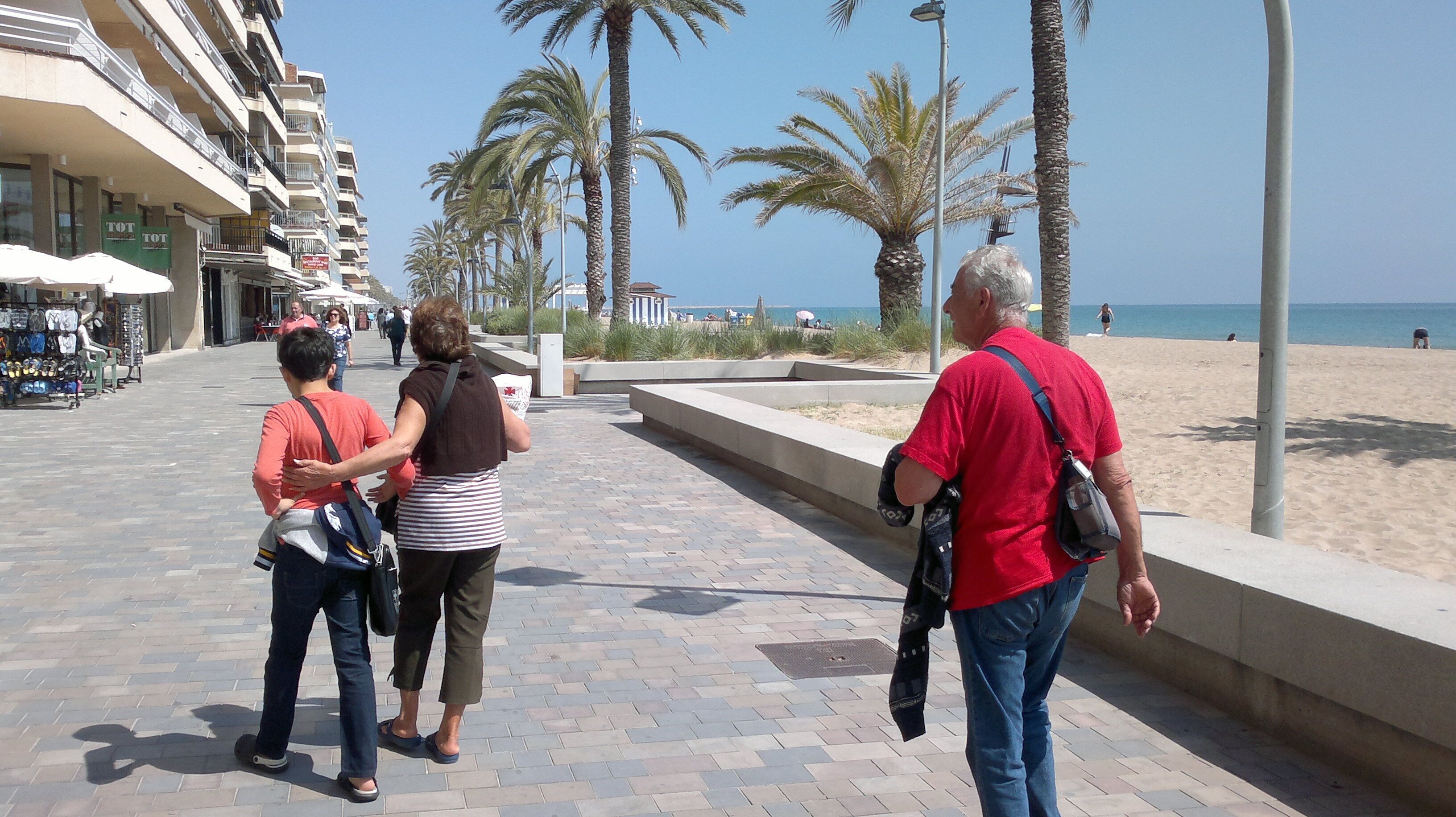 A paved walkway with palm trees and a beach in the background.