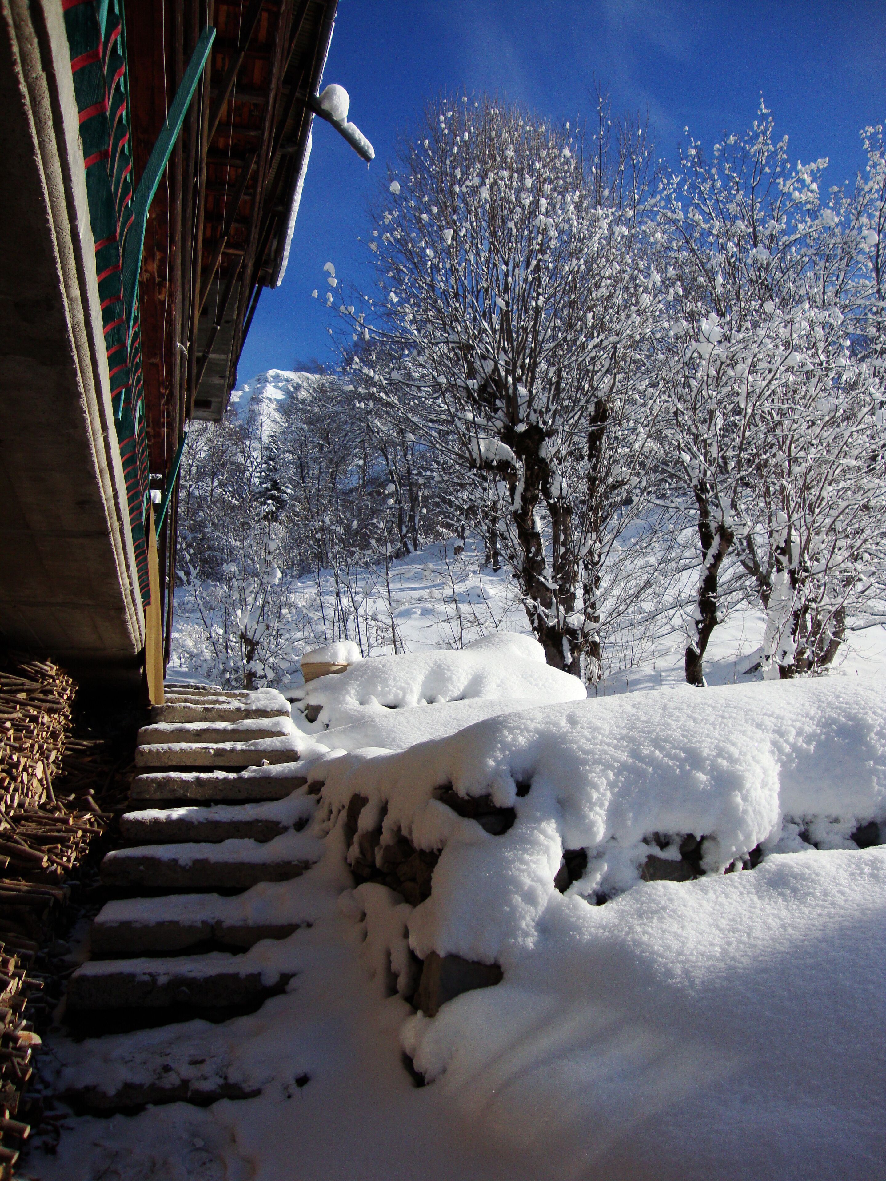Àrea exterior de l'allotjament