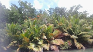 Enceinte de lâhĂ©bergement
