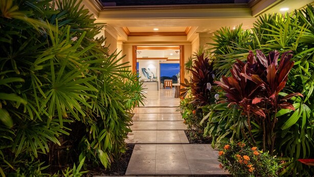 A pathway leading to a building entrance surrounded by lush tropical plants.