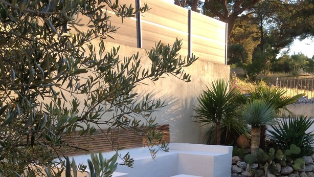 Un área de estar moderna al aire libre con terraza de madera, bancos blancos y diversas plantas, entre ellas cactus y olivos.