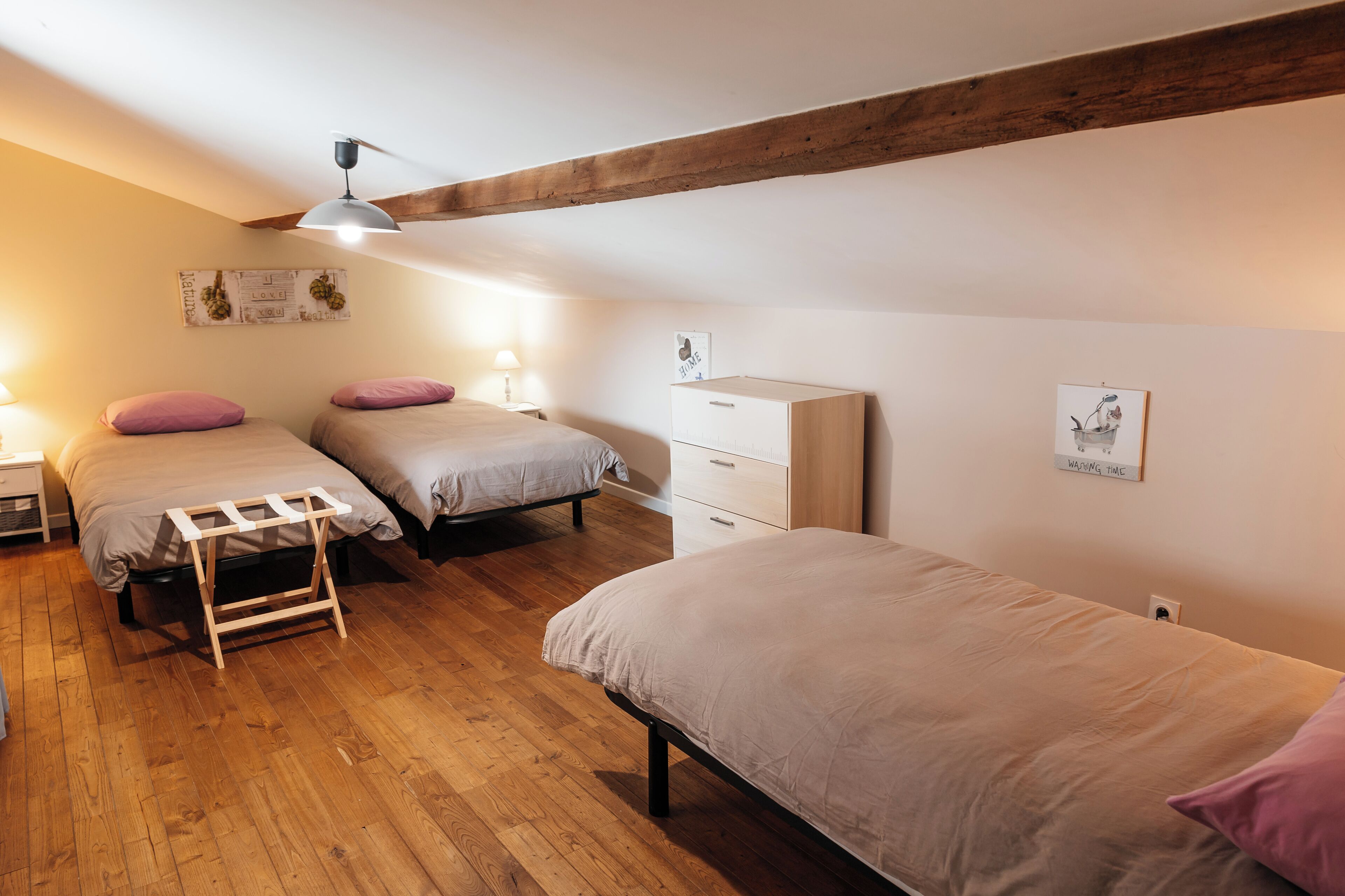 A bedroom with two beds, wooden flooring, a ladder, a nightstand, a dresser, and a ceiling light.