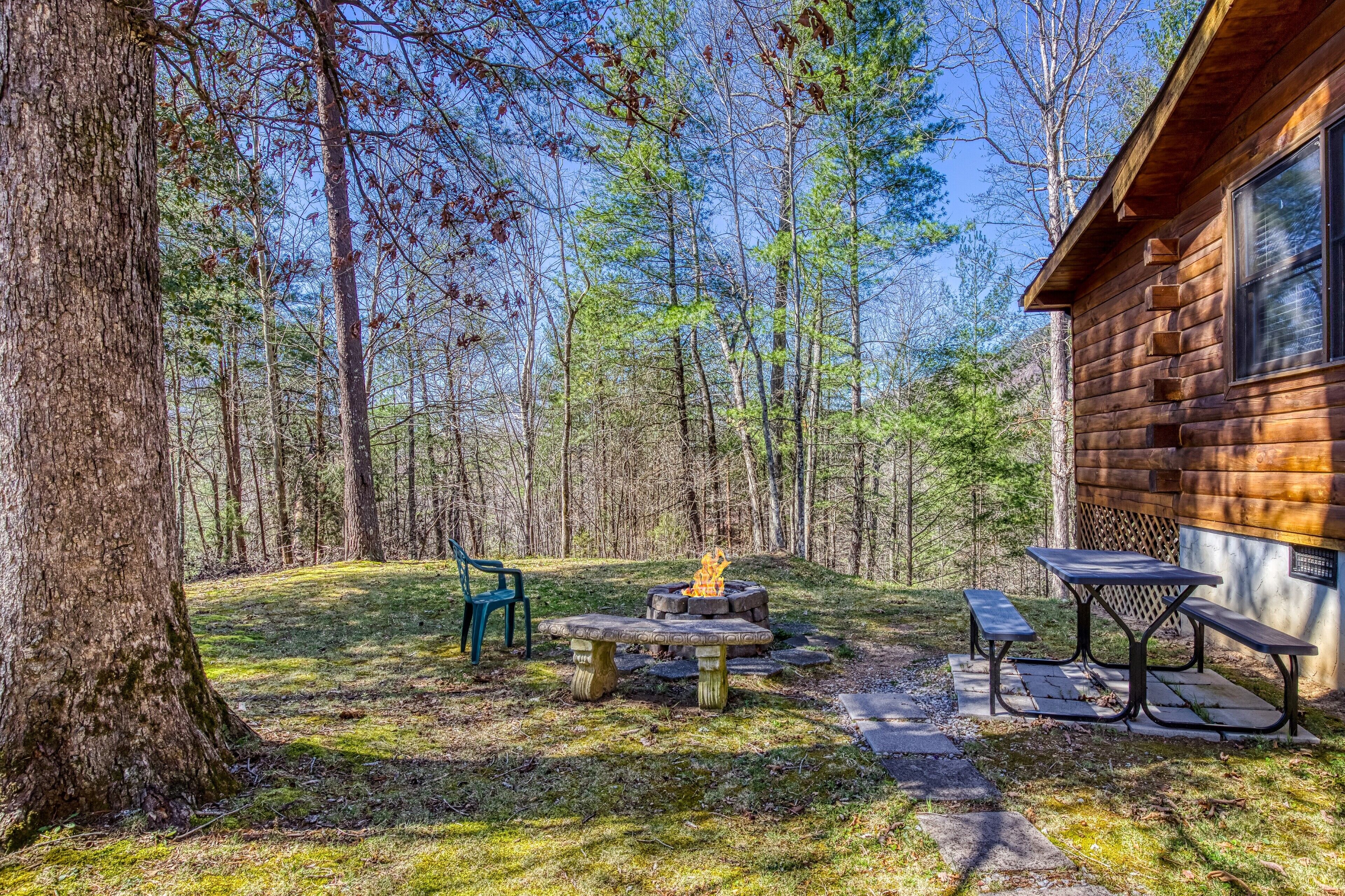 A rustic cabin with a fire pit and picnic table in a forest setting.
