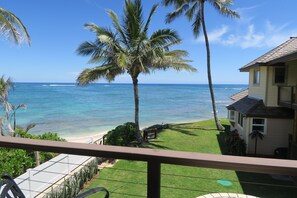 Property grounds - Beachfront private guest suite on the ocean. Ask about 2 week stays. (Waialua)