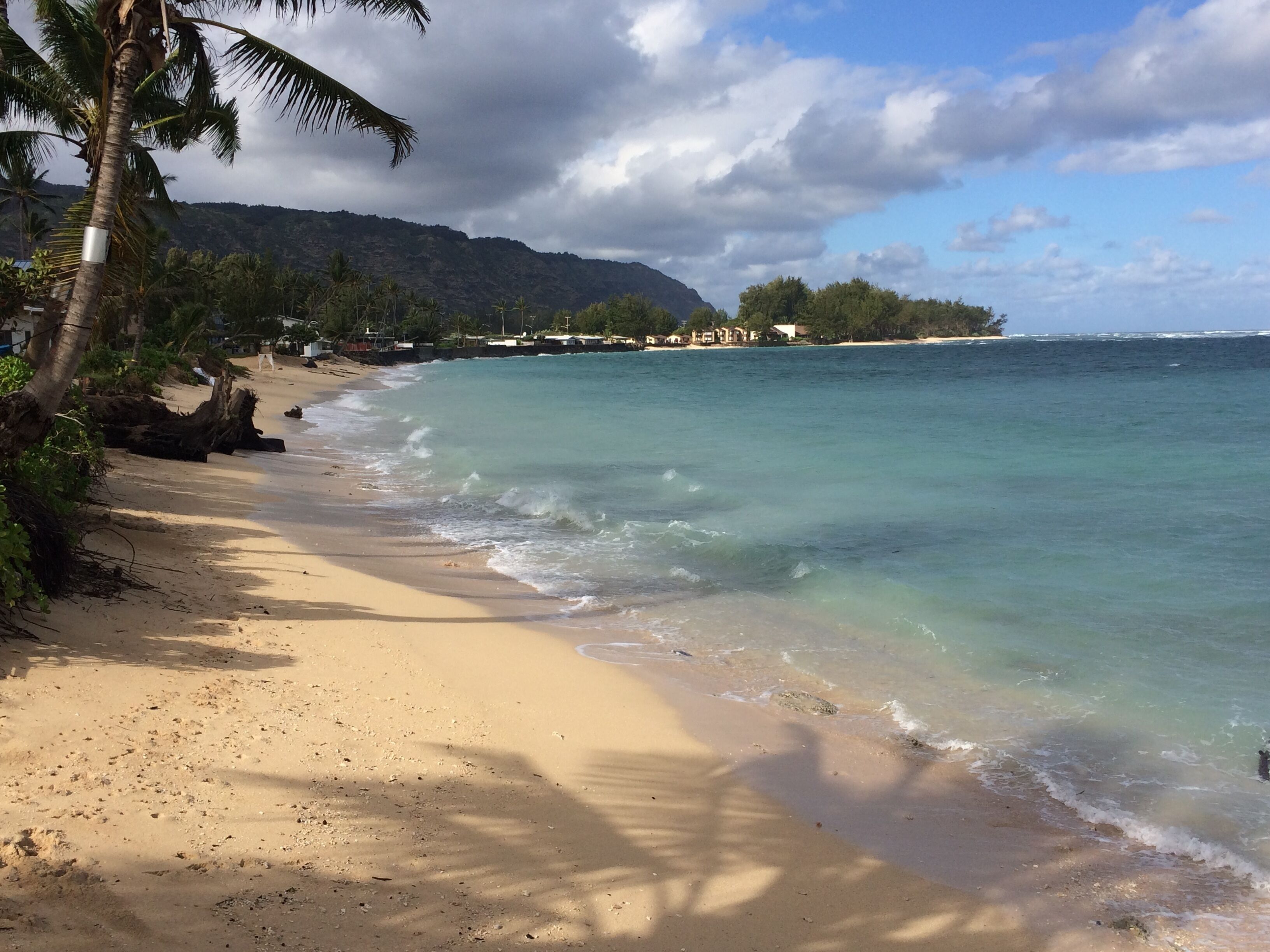 Plage, chaises longues, serviettes de plage