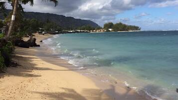 Plage, chaises longues, serviettes de plage