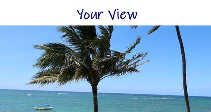 Beachfront private guest suite on the ocean. Ask about 2 week stays.