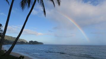 ビーチ、サンラウンジャー、ビーチタオル