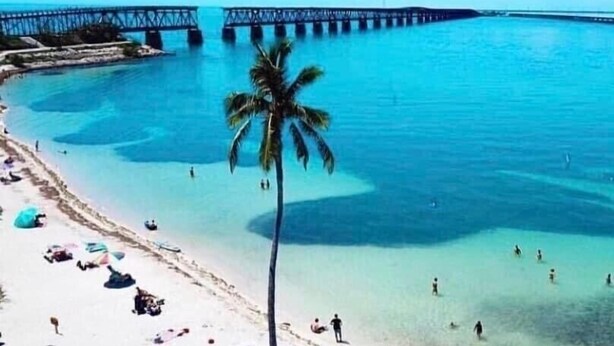 A beach with clear turquoise water, a palm tree, and a pier in the background. - Conch House on a Quiet Canal : Monthly Only (Little Torch Key)