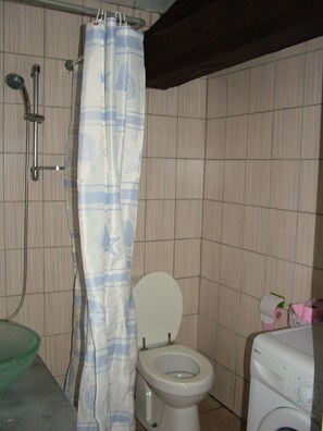 Bathroom features a shower, toilet, and washing machine.