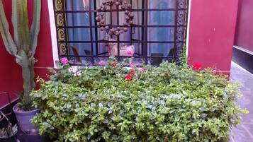 DĂ©tail de lâextĂ©rieur