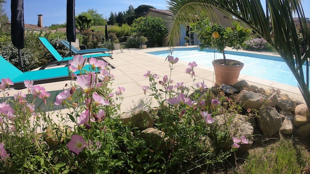 Een zwembad omringd door een tuin met roze bloemen en een palmboom.