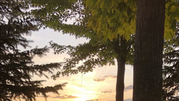 Uitzicht op een meer met een zonsondergang, een stoel en rode bloemen.