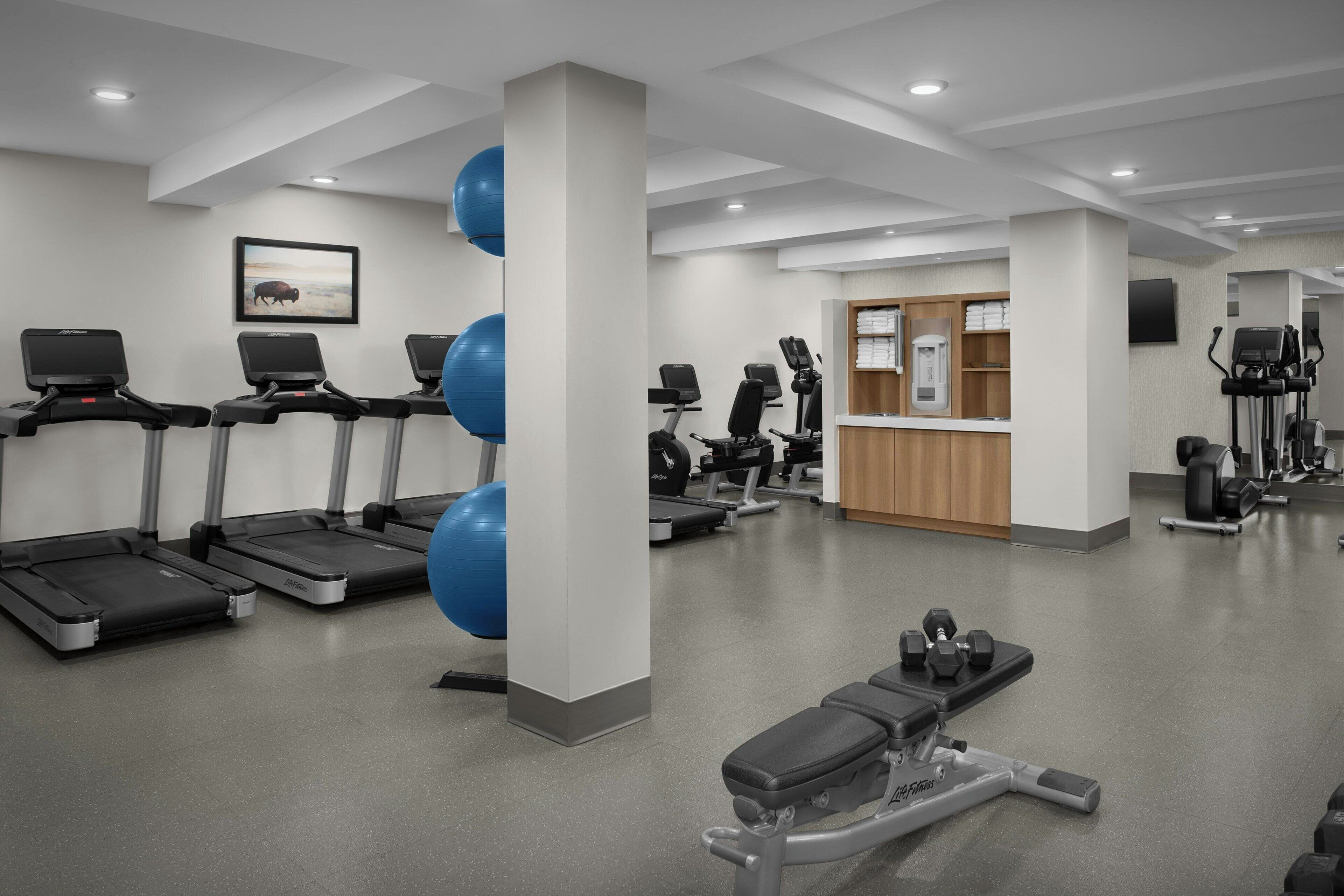 Un gimnasio moderno con cintas de correr, balones de ejercicio y máquinas de pesas.