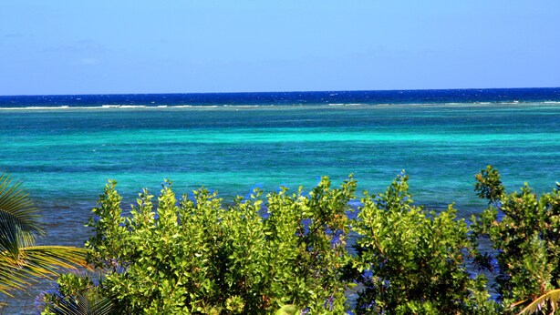 Blick auf einen Strand mit klarem türkisblauem Wasser und grüner Vegetation im Vordergrund.