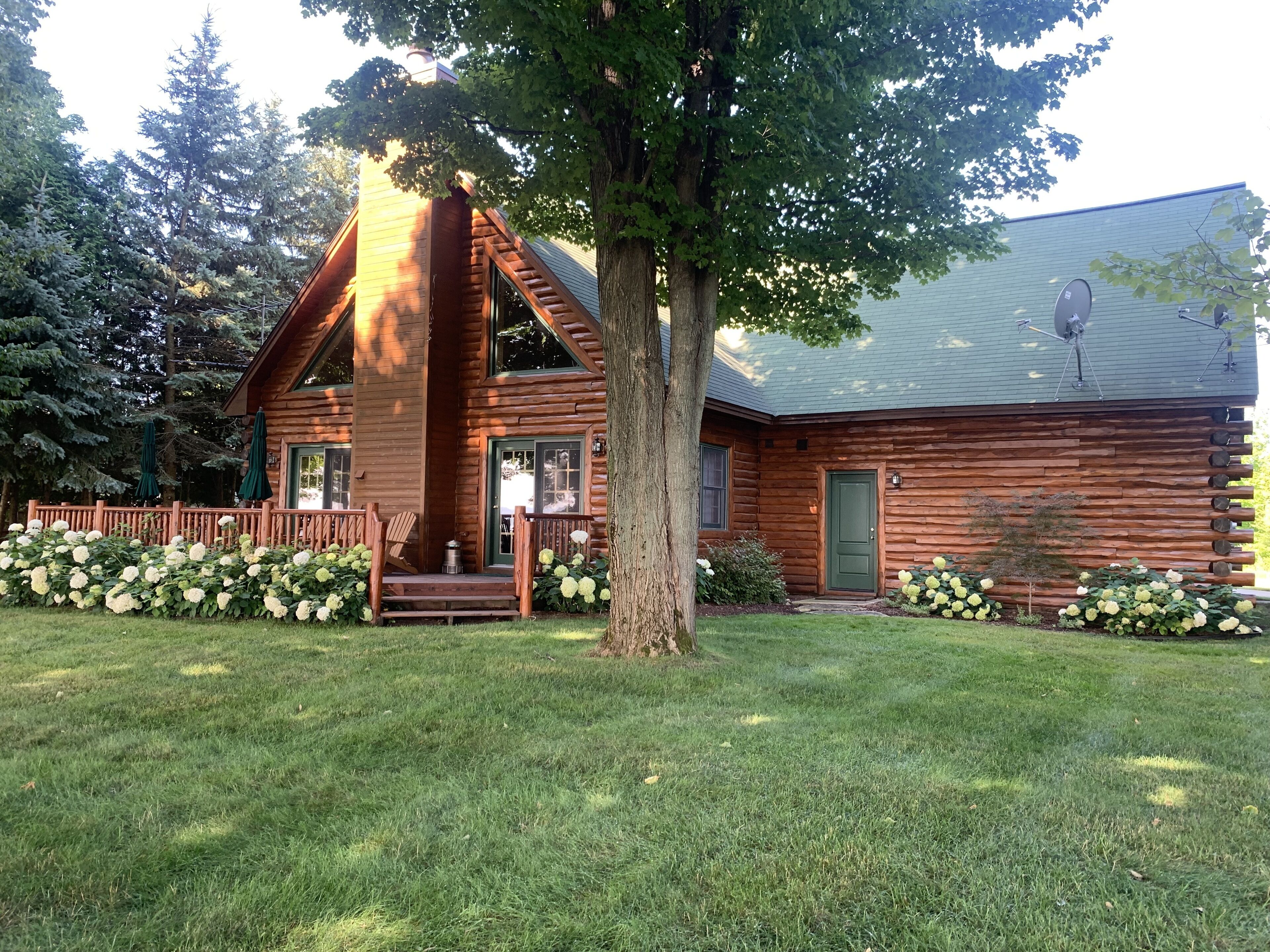 Log home overlooking Torch Lake