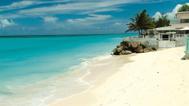 Une plage à l’eau turquoise et limpide, un rivage sablonneux et un bâtiment doté d’un toit blanc et bordé de palmiers.