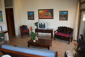 Een televisie, een dvd-speler, boeken en een stereo