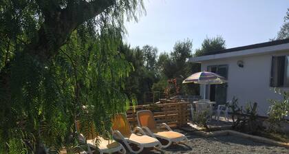 Lovely little house in Salento, in the countryside with garden and solarium