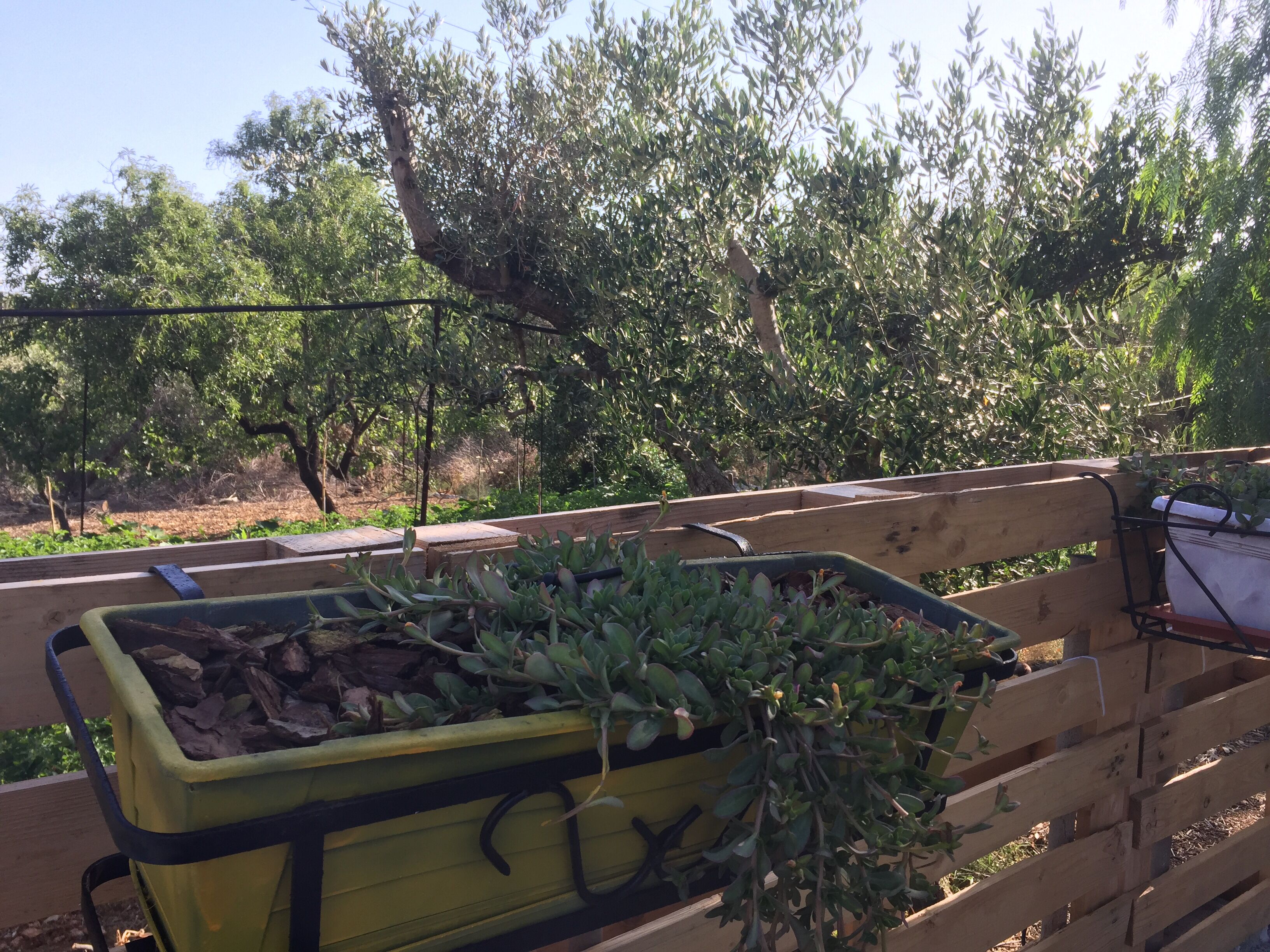 Enceinte de l’hébergement