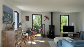 TV connectée, cheminée, lecteur de DVD, livres