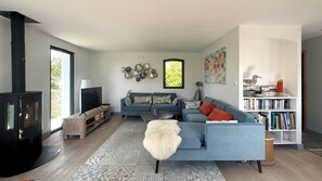 TV connectée, cheminée, lecteur de DVD, livres