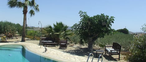 Piscine extérieure