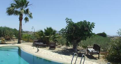 Finca Arboleda Orange Grove accommodation, Idyllic, rural but not remote.