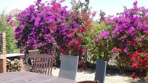 Een terras met een tafel en stoelen, omringd door kleurrijke bougainvillea bloemen.