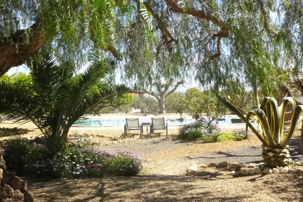 View from the Orange Grove Apartment at Finca Arboleda.