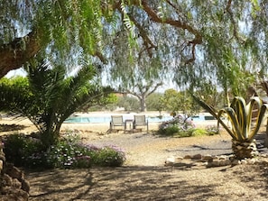 Un giardino con piscina, due sedie e un cactus.