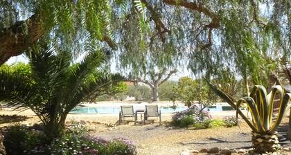 Finca Arboleda Garden Suite, Idyllic, rural but not remote.