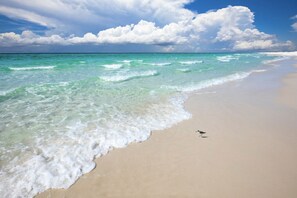 Una playa cerca