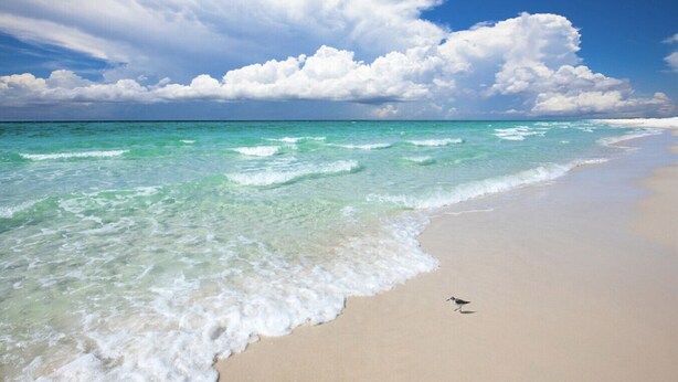 Ein Strand mit klarem türkisblauem Wasser und einem sandigen Ufer.