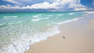 Una spiaggia nelle vicinanze