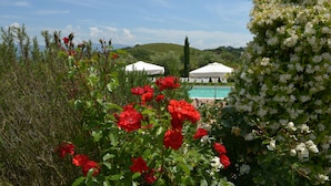 A garden with red and white flowers, a pool, and white umbrellas in the background.
