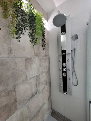 Shower, hair dryer, bidet, towels