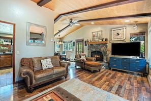 Smart TV, fireplace, books, video library