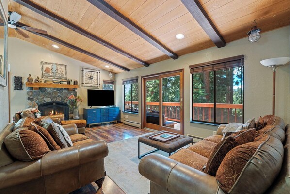 Smart TV, fireplace, books, video library